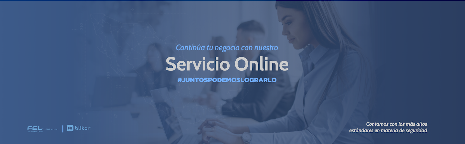 Servicio online FEL